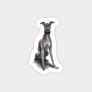 The Whippet Sticker